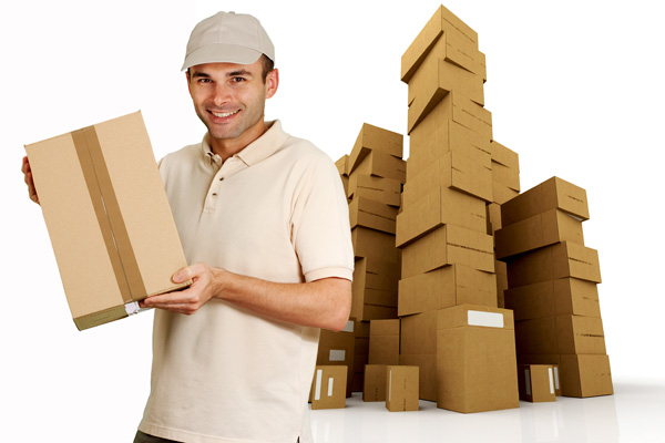 satywali packers movers